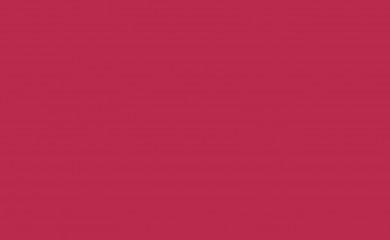 petworthrecruitment.com screenshot