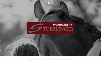 pferdezucht-stuerzlinger.at screenshot