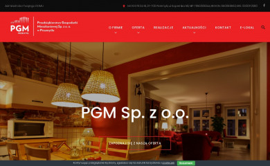 pgmprzemysl.pl screenshot