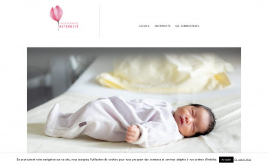 photographe-maternite.com screenshot