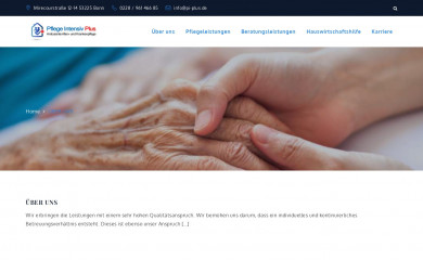 pi-plus.de screenshot