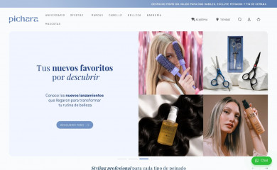 pichara.cl screenshot