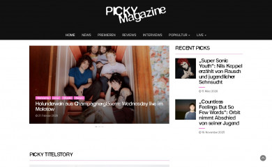pickymagazine.de screenshot