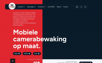 picseecam.com screenshot