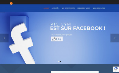 pic-gym.fr screenshot
