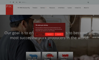 pic.com screenshot