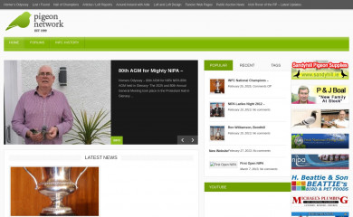 pigeonnetwork.com screenshot