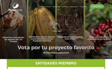 piensaverdebolivia.org screenshot