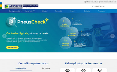 pierazzuoligomme.it screenshot