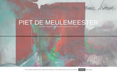 piet-demeulemeester.be screenshot