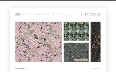 piiapodersalu.com screenshot