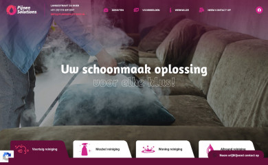 pijnensolutions.nl screenshot