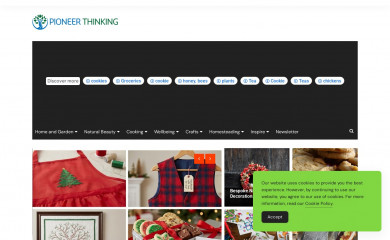 pioneerthinking.com screenshot