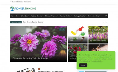 pioneerthinking.com screenshot