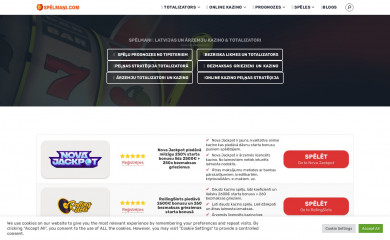 pilsoniska-savieniba.lv screenshot