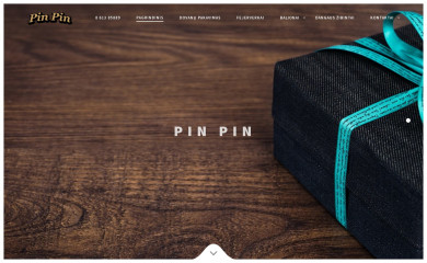pin-pin.lt screenshot