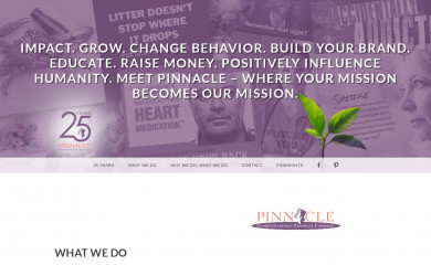 pinnacleco.com screenshot