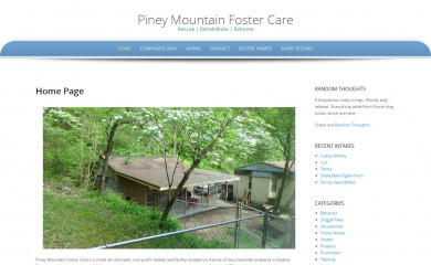 pineymountainfoster.org screenshot