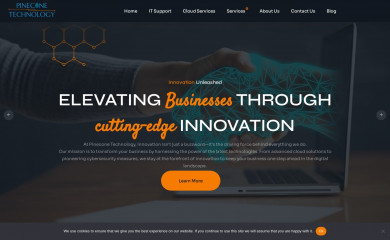 pineconetechnology.co.uk screenshot
