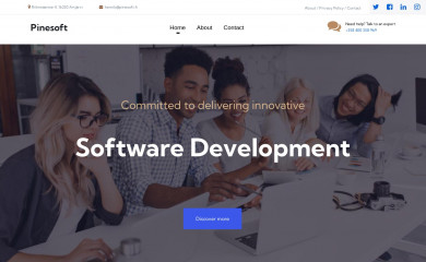pinesoft.fi screenshot