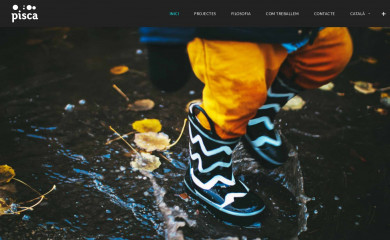 piscastudio.com screenshot