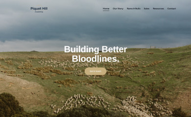 piquethillfarms.co.nz screenshot