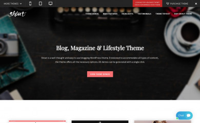 https://www.pirenko-themes.com/previews/?theme=shout screenshot