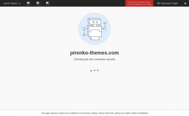 https://www.pirenko.com/previews/?theme=pulse screenshot