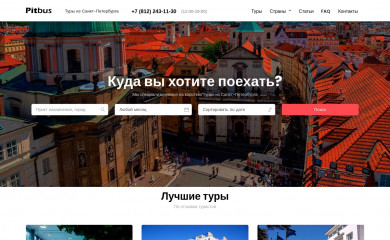 pitbus.ru screenshot
