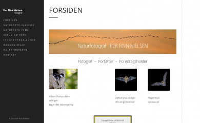 pixel-vision.dk screenshot