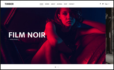 http://pixelgrade.com/demos/timber/ screenshot