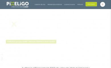 https://www.pixeligo.fr screenshot