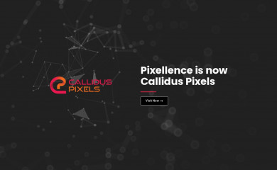 pixellence.biz screenshot