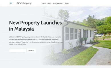 pkns-property.com screenshot