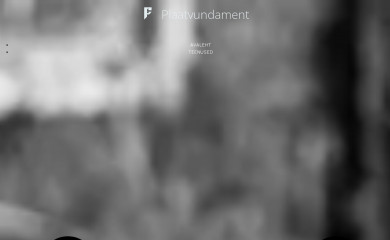plaatvundament.ee screenshot