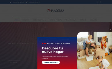 placonsa.es screenshot