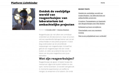 platformlichthinder.nl screenshot