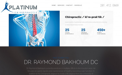 platinum-chiropractic.com screenshot