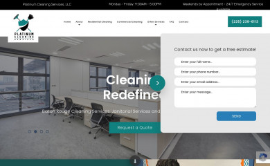 platinumcleaning225.com screenshot