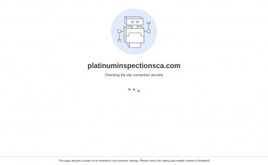 platinuminspectionsca.com screenshot