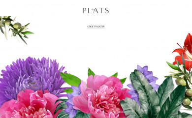 plats.co.in screenshot