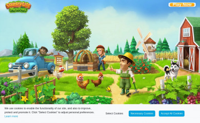 playcountry.life screenshot
