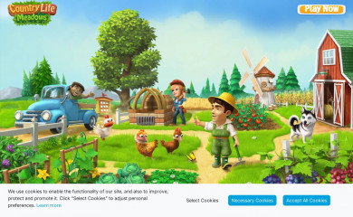 playcountry.life screenshot