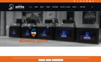playing-ducks.com screenshot