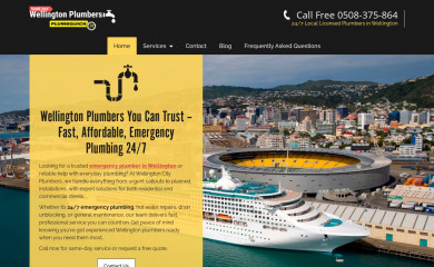 plumberwellington.co.nz screenshot