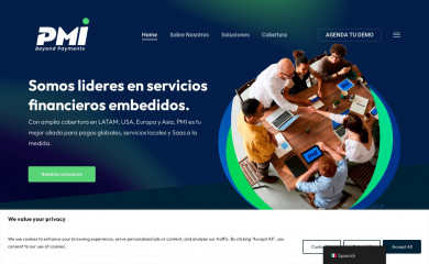 pmi-americas.com screenshot