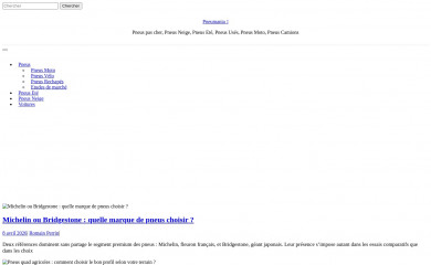 pneumania.fr screenshot