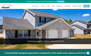 pointeatwaynesville.com screenshot