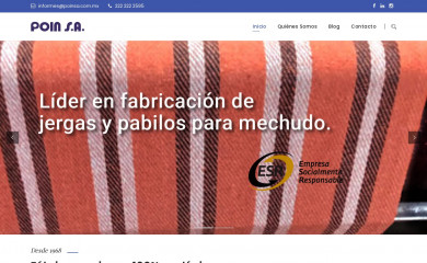 poinsa.com.mx screenshot