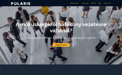 polarisconsulting.ro screenshot